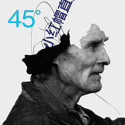 金年会 | 诚信至上金字招牌