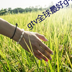 gtv全球最好g平台下载
