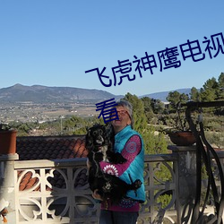 飞虎神鹰电视剧全集完整版免费观看
