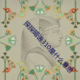探探暗語310是什麽意思