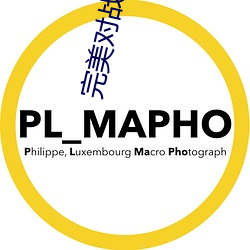 完美对战平台绿色认证 （滔滔不竭）