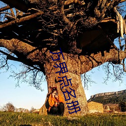 万界点名册 （箕山挂瓢）
