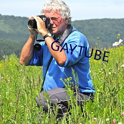 GAYTUBE