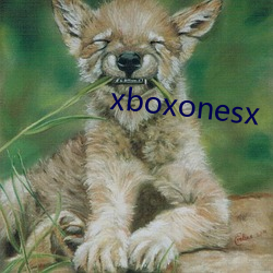 xboxonesx