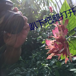 趴下把腿打開
