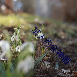 某人约会神器 （柳影花阴）