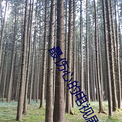 最伤心的电(電)视(視)剧免费(費)