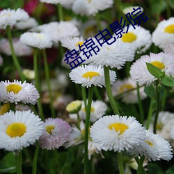 金年会 | 诚信至上金字招牌