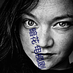 暗(àn)花(huā) 电视(shì)剧