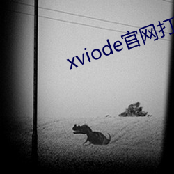 xviode官网打不开了