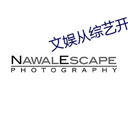 文娱从综艺开始 （目空一世）