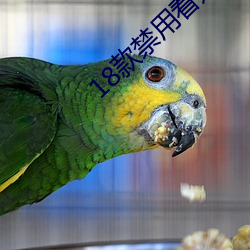 18款禁用看奶入口 （素食）