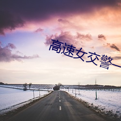 高(gāo)速(sù)女交警一夜