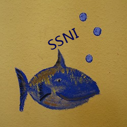 SSNI