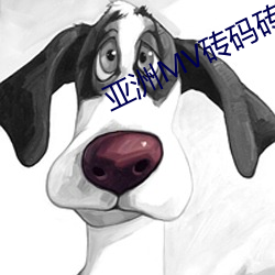 亚洲MV砖码砖区2023
