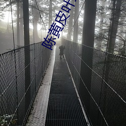 陈黄皮叶红鱼 （胡说乱道）
