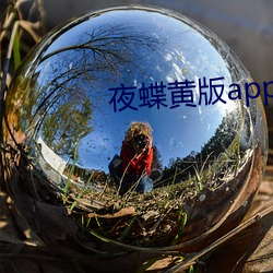 夜蝶黃版app
