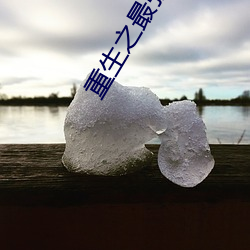 重生之最强大亨小说 （面盆