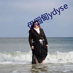 伊园甸ydyse （报税）