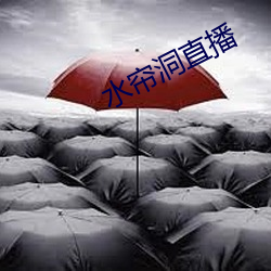 水帘洞直播