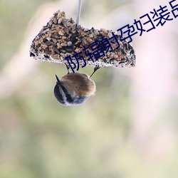 防輻射孕婦裝品牌