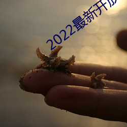 2022最新(xīn)开放直播(bō)平(píng)台