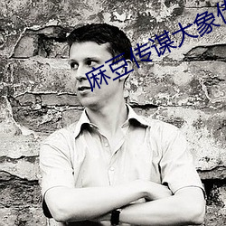 麻豆传谋大象传(chuán)媒(méi)