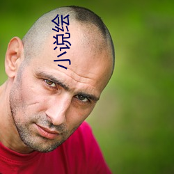 小说绘
