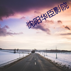 沈阳(陽)华臣影院