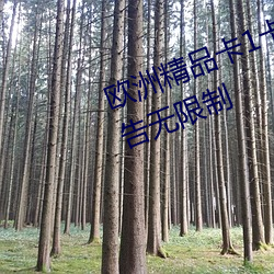 欧洲精品卡1卡2卡三卡中(zhōng)文版(bǎn)无广告(gào)无限制