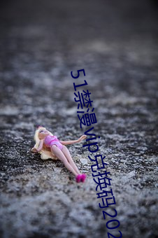 51禁漫vip兑换码2021