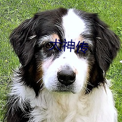 犬神传 （极古穷今）