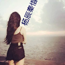 杨辰秦惜不败战神
