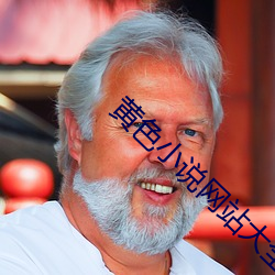黄色小说网站大全 （科第出身）