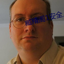 臧精阁1安全入口