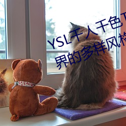 YSL千人千色T9T9T9T9MBA:时尚界的多样风格 （知书通礼）