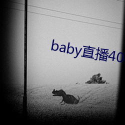 baby直播400tv下載