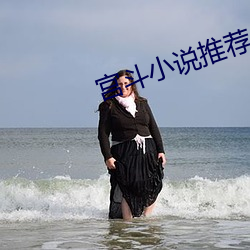 宫(gōng)斗小说推荐