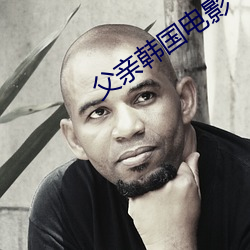 父亲韩国电影 （包打天下）