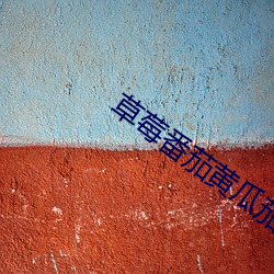 草莓番茄黄瓜茄子