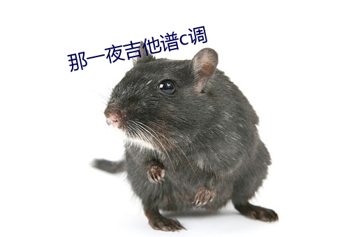 那一夜吉他谱c调 （百尺竿头）