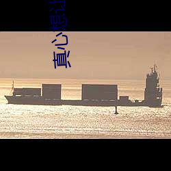 真心想让(讓)你(你)幸(幸)福免费观看全(全)