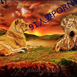 91人妻PORNY九色大屁股 （进退维谷）