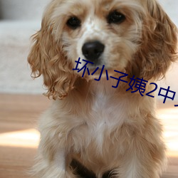 尊龙凯时-人生就是搏!