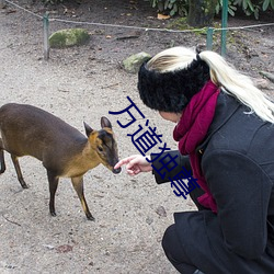 萬道獨尊