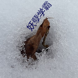 妖孽学霸 一介不取）
