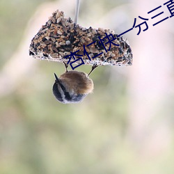 杏(杏)仁(仁)快一(一)分三直播