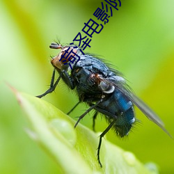 菏泽电影院