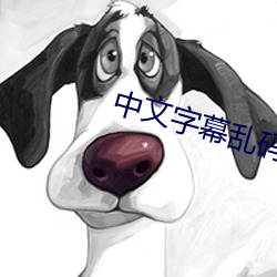 中文字幕乱码视频32