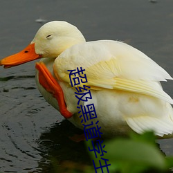 黑道学生 报馆